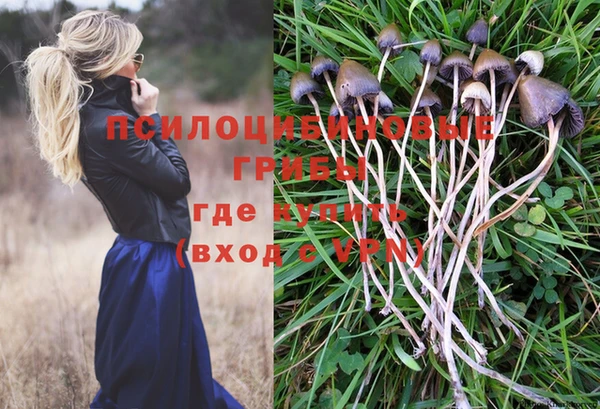 мескалин Абдулино